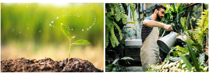 Mr. Bhaskar Bhattacharjee